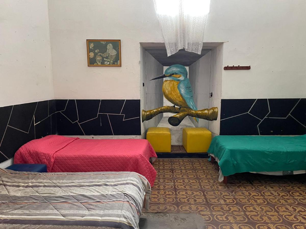 Garden Guest House トルヒーリョ エクステリア 写真